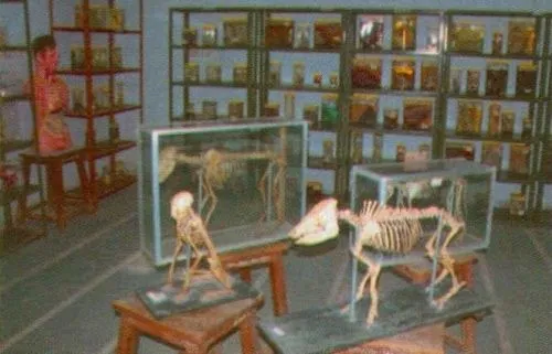 College of Veterinary Science and Animal Husbandry, Banaskantha