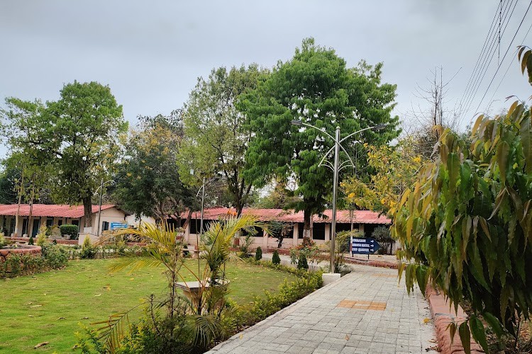 College of Veterinary Science and Animal Husbandry, Jabalpur