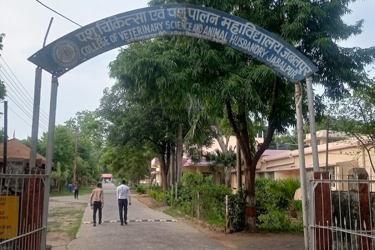 College of Veterinary Science and Animal Husbandry, Jabalpur