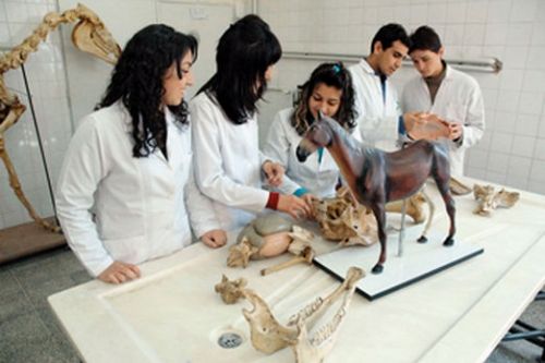 College of Veterinary Sciences Campus Tour, Hisar 