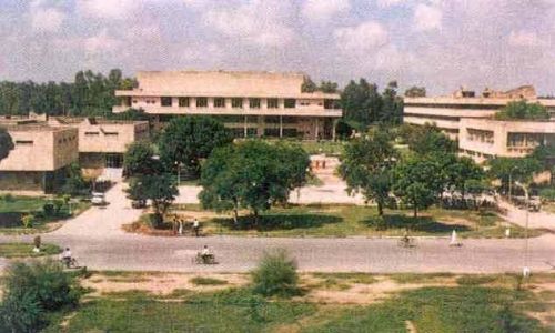 College of Veterinary Sciences, Hisar