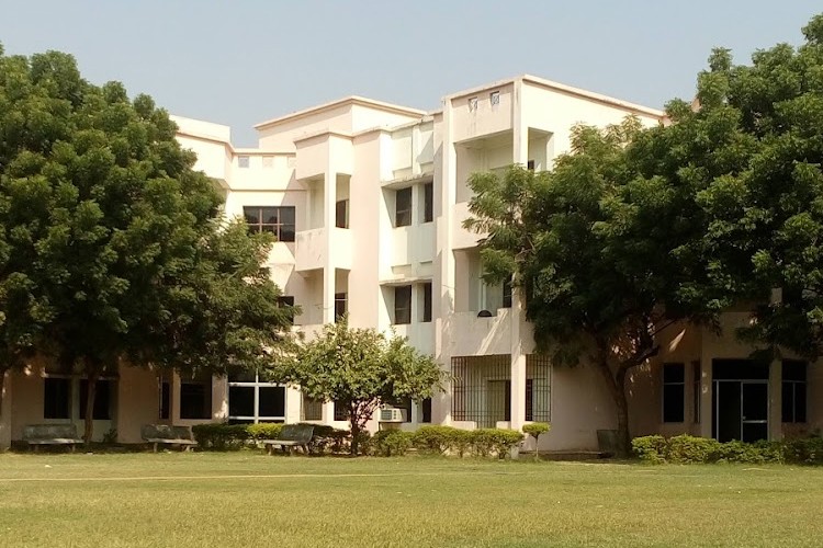 Compucom Institute of Information Technology and Management, Jaipur