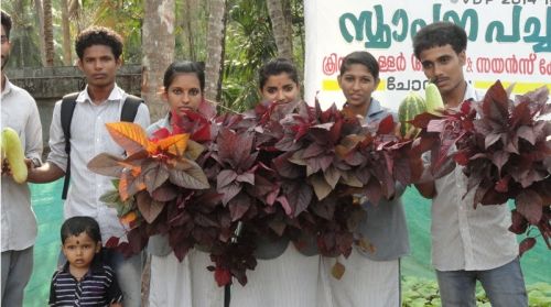 CSI Christian Muller Women's College, Vadakara