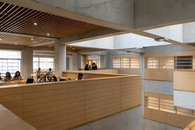 DY Patil University School of Arts and Commerce, Navi Mumbai