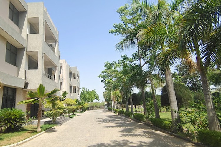 Dalia Institute of Diploma Studies, Kheda