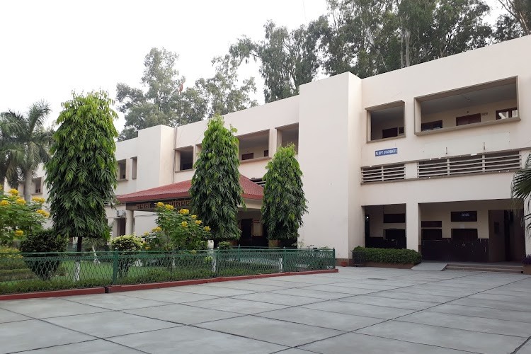 DAV College, Jalandhar