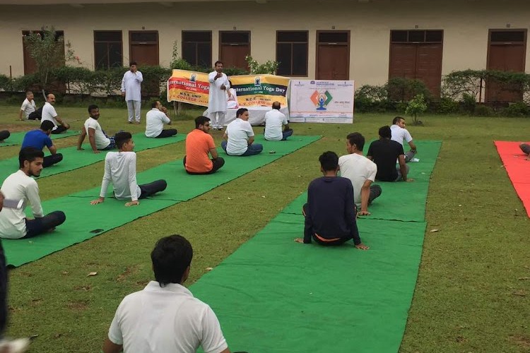 DAV College, Jalandhar