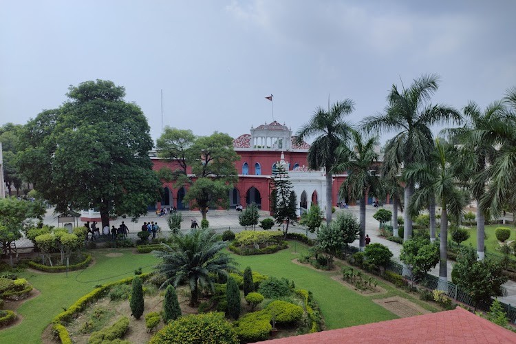 DAV College, Jalandhar