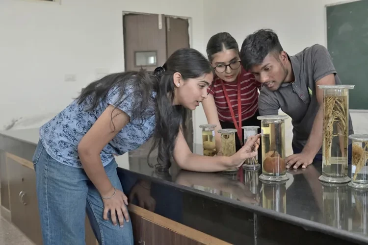 DAV University, Jalandhar