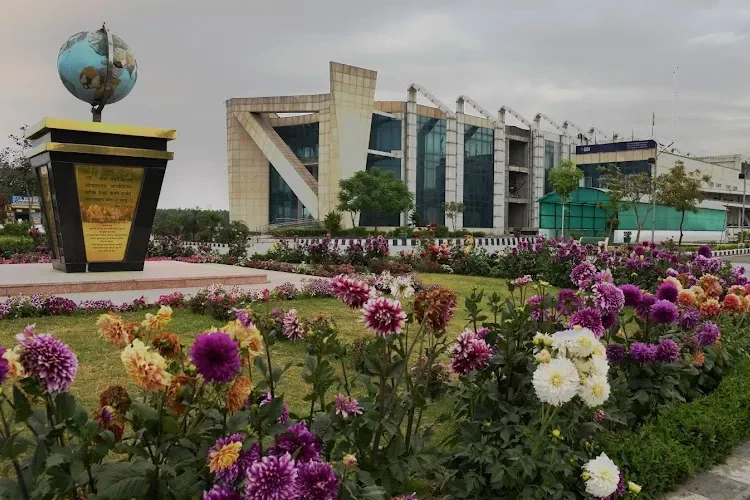 DAV University, Jalandhar