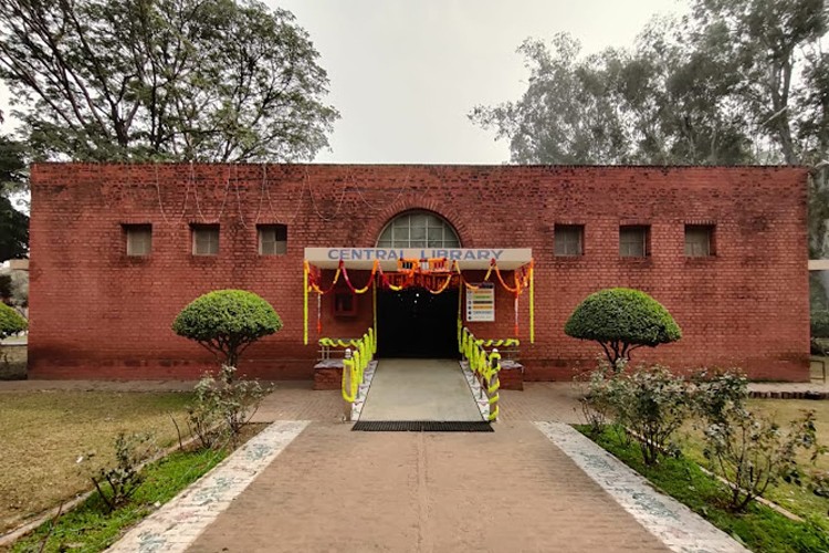 Dayalbagh Educational Institute, Agra