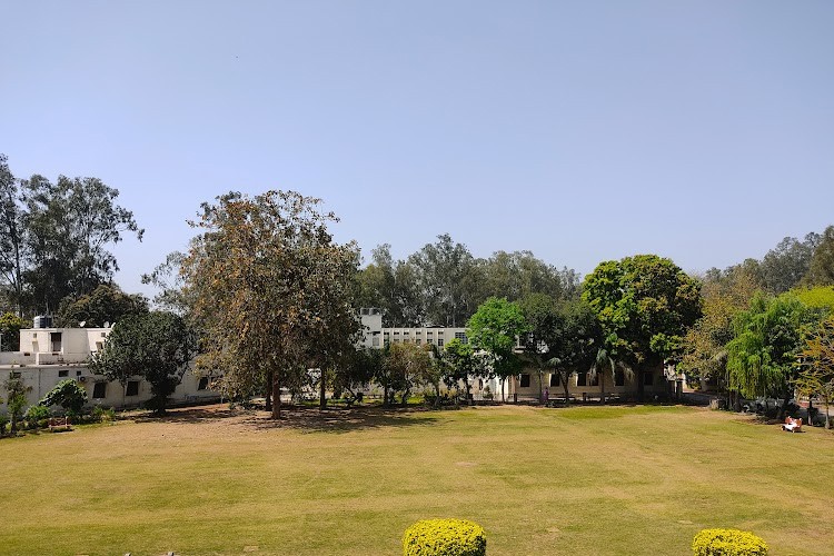 Dayanand Ayurvedic College, Jalandhar