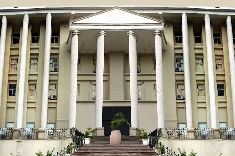 Delhi Metropolitan Education, Noida