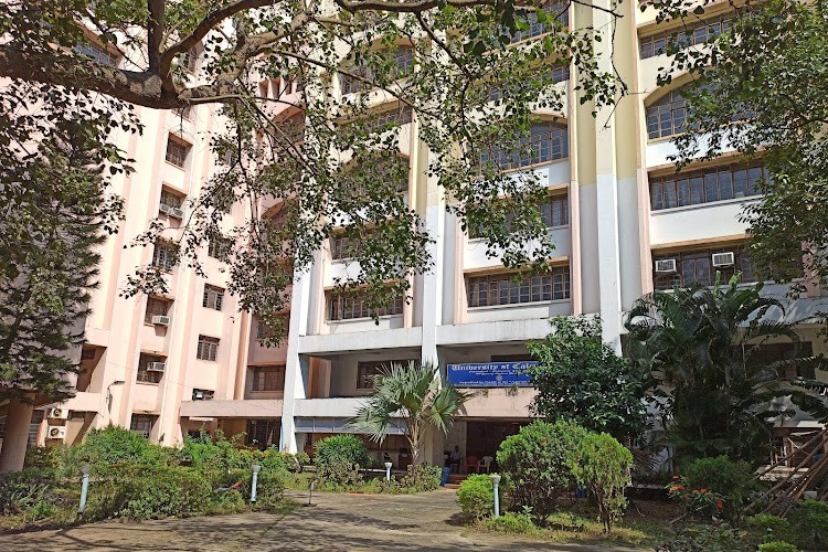 Department of Business Management, University of Calcutta, Kolkata