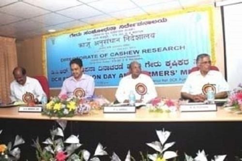 Directorate of Cashew Research, Kannada