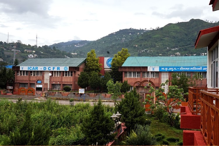 Directorate of Coldwater Fisheries Research, Nainital