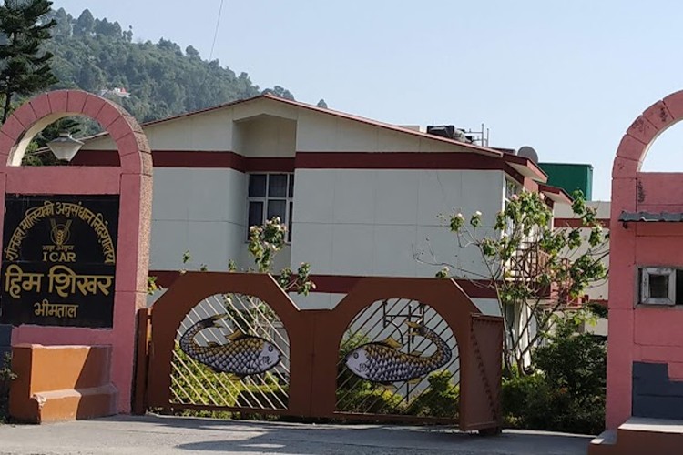 Directorate of Coldwater Fisheries Research, Nainital