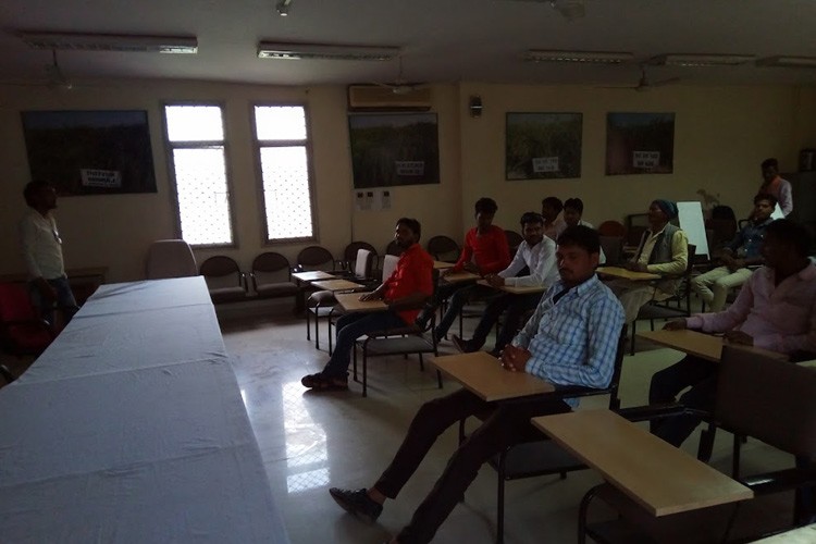 Directorate of Rapeseed Mustard Research, Bharatpur