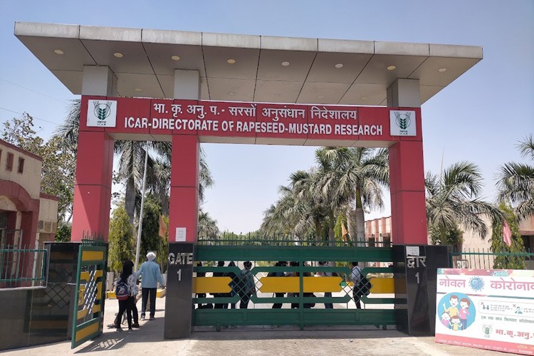 Directorate of Rapeseed Mustard Research, Bharatpur