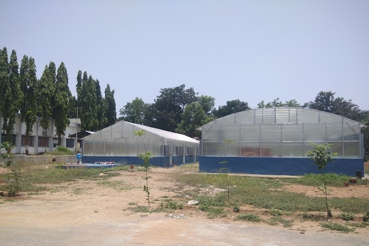 Directorate of Sorghum Research, Hyderabad