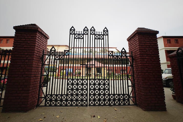 Dolphin PG Institute of Biomedical & Natural Sciences, Dehradun