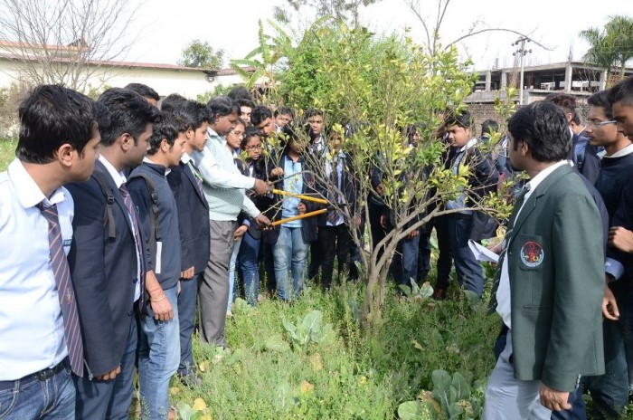 Doon Post Graduate College of Agriculture Science and Technology, Dehradun