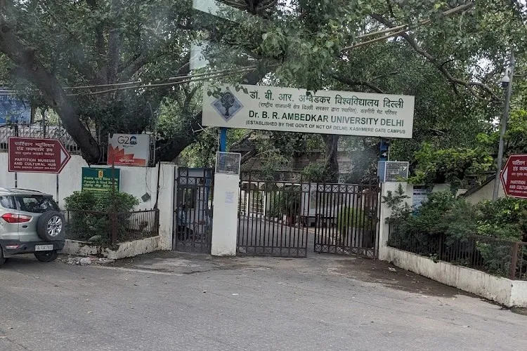 Dr. B.R. Ambedkar University Delhi, New Delhi