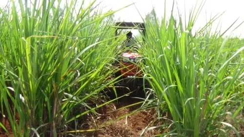 Dr. D. Y. Patil College of Agricultural Engineering and Technology Talsande, Kolhapur