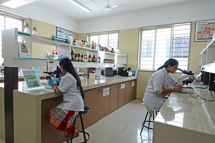 Dr DY Patil BioTechnology and Bioinformatics Institute, Tathawade, Pune