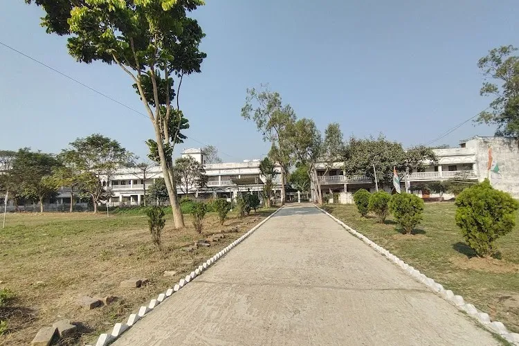 Dr Gour Mohan Roy College, Bardhaman