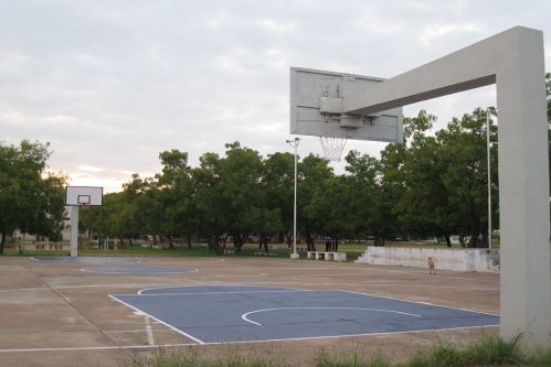 Dr. Sivanthi Aditanar College of Physical Education, Thoothukudi