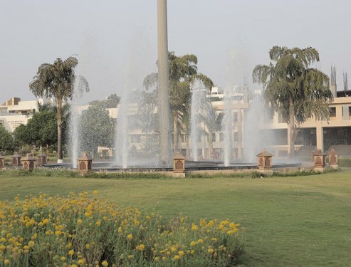 DY Patil International University, Pune