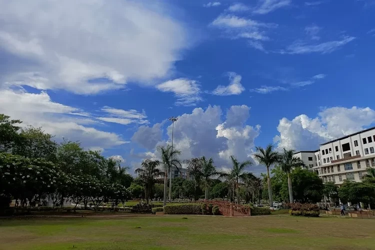 DY Patil International University, Pune