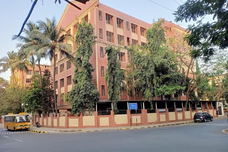 DY Patil University, School of Management, Navi Mumbai