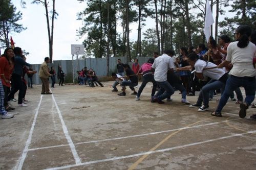 The English and Foreign Languages University, Shillong