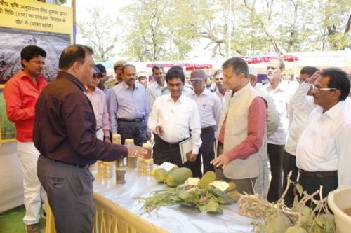 Faculty of Veterinary Science and Animal Husbandry, Birsa Agricultural University, Ranchi