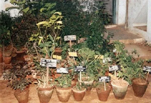 Fathima College of Pharmacy Kadayanallur, Tirunelveli