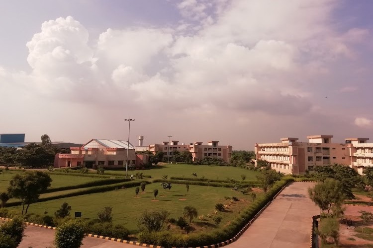 Footwear Design and Development Institute, Rohtak