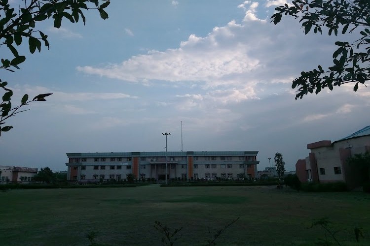 Footwear Design and Development Institute, Rohtak