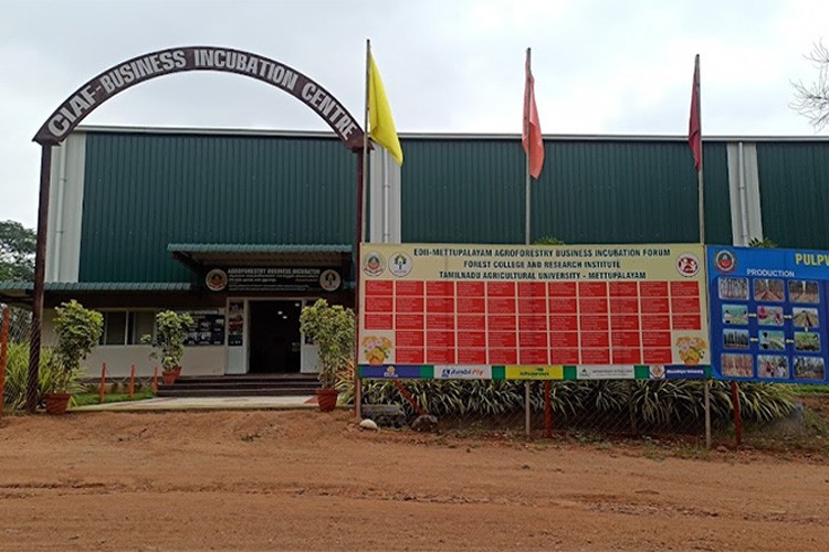 Forest College and Research Institute, Mettupalayam