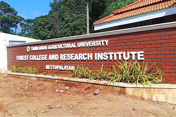 Forest College and Research Institute, Mettupalayam