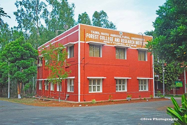 Forest College and Research Institute, Mettupalayam