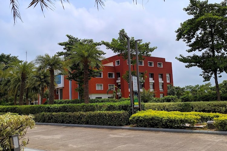 Future Institute of Engineering and Technology, Bareilly