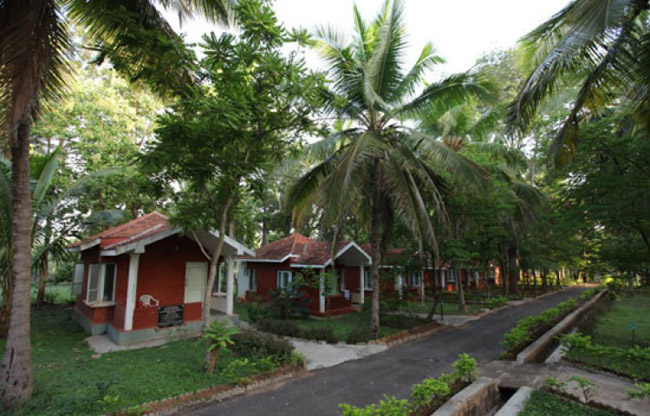 G. Madegowda Institute of Naturopathy and Yogic Sciences, Mandya