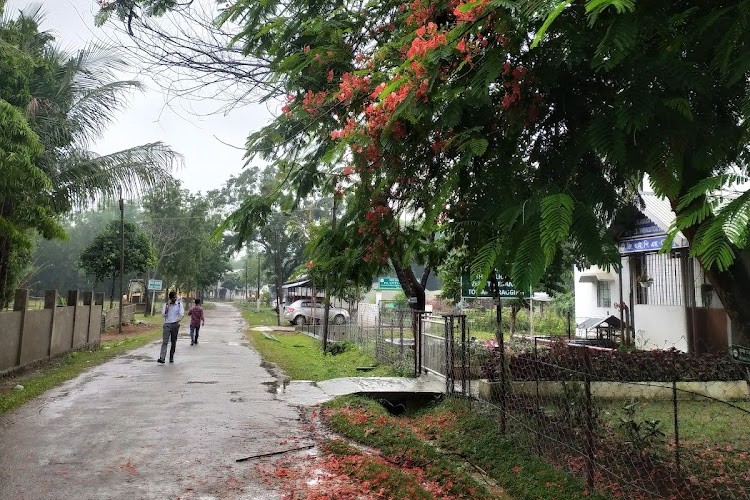 Girijananda Chowdhury Institute of Pharmaceutical Science, Tezpur