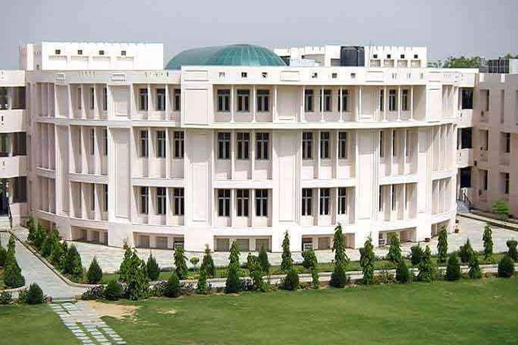 Global College of Technology, Jaipur