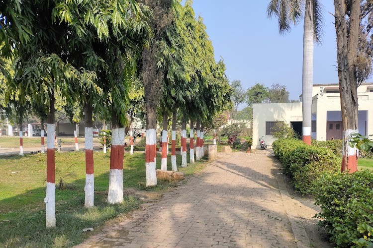 Gochar Mahavidyalaya, Saharanpur