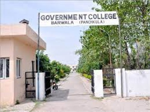 Government College Barwala, Hisar