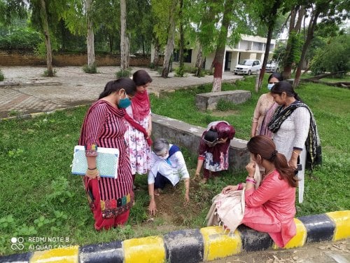 Government College Gharaunda, Karnal