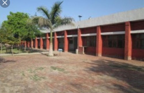 Government college, Panipat